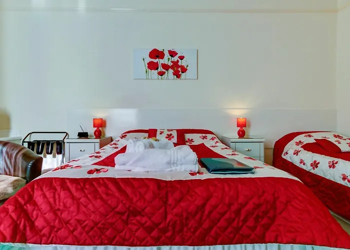 招待所 卡文迪什旅馆 5*